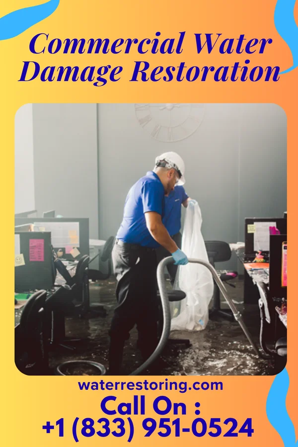 Commercial Water Damage Restoration in Cut and Shoot, TX