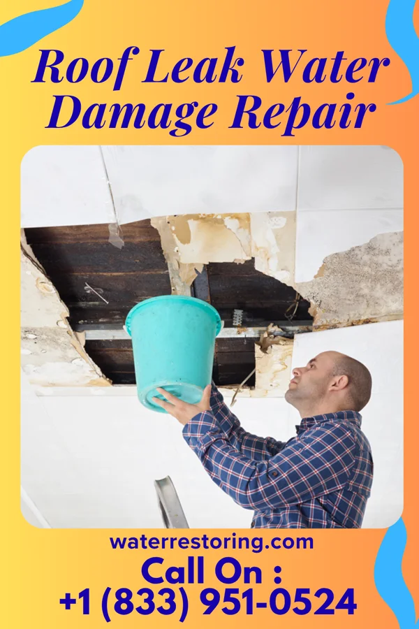 Roof Leak Water Damage Repair in Cut and Shoot, TX
